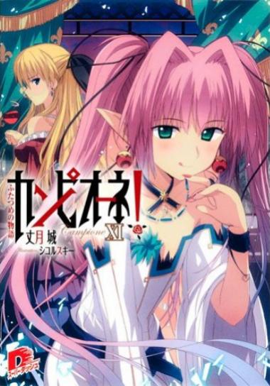 Light Novel Volume 11 (Front Cover)